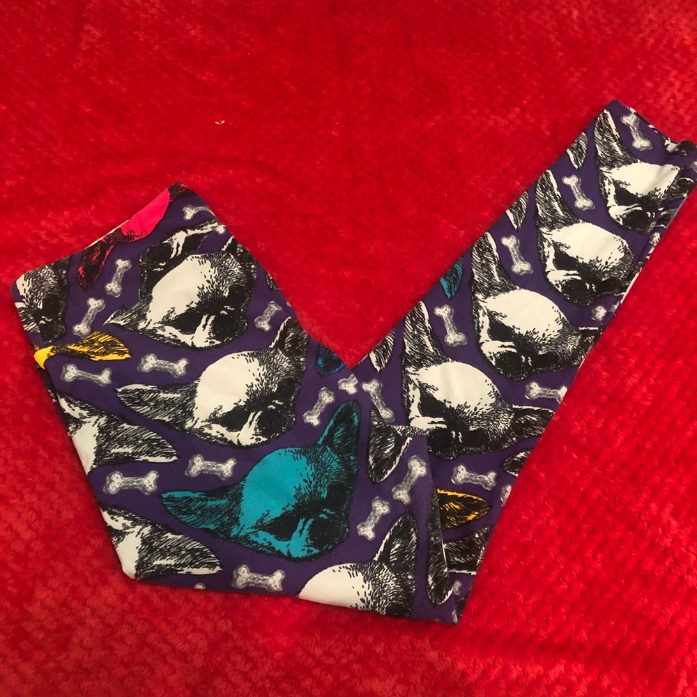 lularoe tc chihuahua leggings rare unicorn